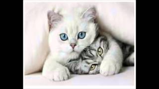 Sessions Deepjavi - Shut up and listen