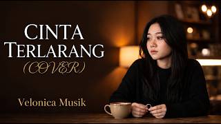 Download lagu CINTA TERLARANG - The Virgin | Cover Terbaru | Velonica Musik mp3