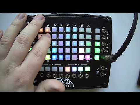 Empress ZOIA patch walk-through:  "U R the SHIFT (register) -- a playable shift register synth"
