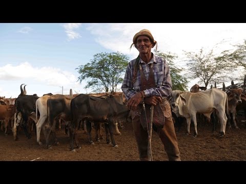 Filme - MISSA DO VAQUEIRO