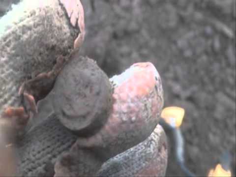 Moje Wykopki Odc. 171 (SE02 E71)