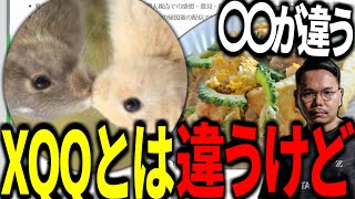ZETAの天才アナリストgya9が語るゴーヤーの美味しい食べ方【ZETA】【gya9】