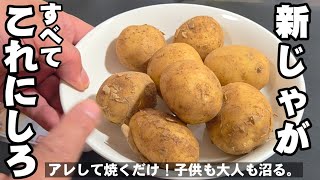 新じゃがは全てこれ！簡単やみつきおつまみ 居酒屋人気メニュー 大人も子供も喜ぶジャーマンポテトじゃがいも レシピ 節約 時短料理  おうちごはん ゴールデンウィーク ライフハック potato