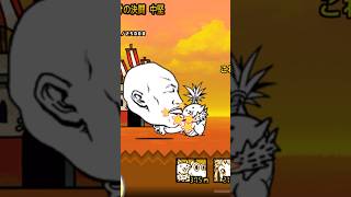 ちょうどいい音すると思ったらカオルでした！　#shorts　「catch catch・にゃんこ大戦争・流行りの歌」