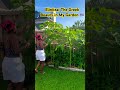 Elinitsa okra 🇬🇷🌿 in my home garden—and she’s thriving! #zone9b