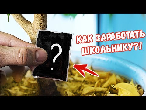 10 СПОСОБОВ ЗАРАБОТАТЬ ШКОЛЬНИКУ | как заработать деньги студентам и школьникам, бизнес идеи