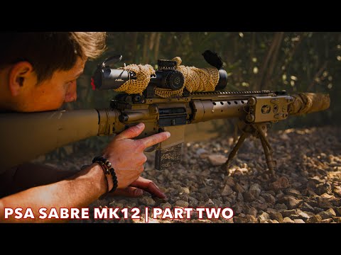 PSA Sabre MK12 | Part 2