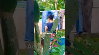 Download lagu ADIK TEMAN' (dalam jemuran) mp3