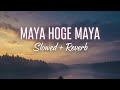 Maya Hoge Maya Slowed Reverb Chhattisgarhi Lofi Song 2026