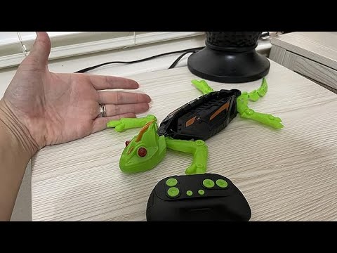 RC chameleon details