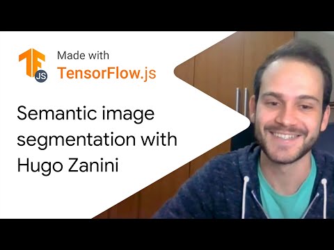 Real-time semantic segmentation in the browser  - Made With TensorFlow.js