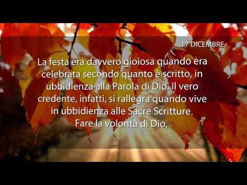 Meditazione del 17 Dicembre 2017 “LA GIOIA DEL SIGNORE”