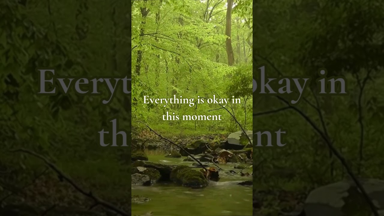 15 Seconds to thank the universe and return to your center via /r/gratitude