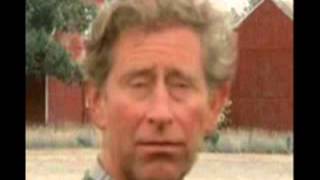 Duncan calls the Craigslist Teenager