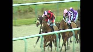 preview picture of video 'Illustrious Forest winning the 1m4f handicap at Wolverhampton on 3 Jan 2013'