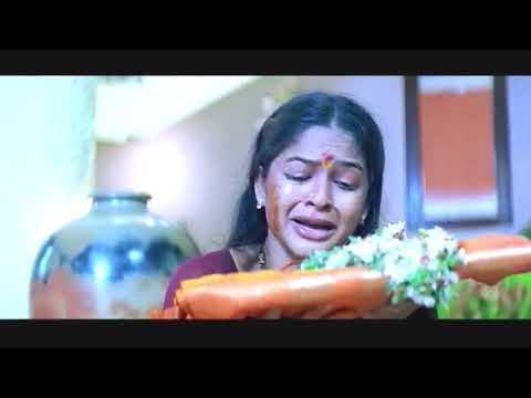 Puttintiki Ra Chelli Video Song || Puttintiki Ra Chelli Movie Songs  || Shalimarcinema