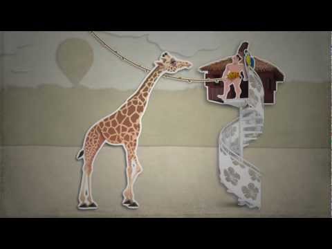 Видеообзор