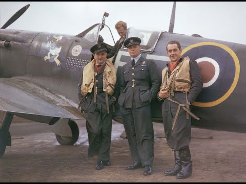 A photographic album of Polish pilots who flew in the Battle of Britain, 1940-1943