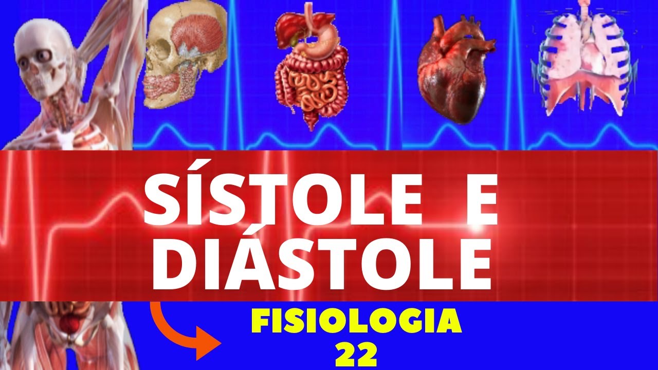 SÍSTOLE E DIÁSTOLE - FISIOLOGIA DO CICLO CARDÍACO (FISIOLOGIA CARDIOVASCULAR) - FISIOLOGIA HUMANA