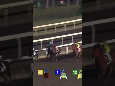 ADIOS K Teetan @racingshorts272