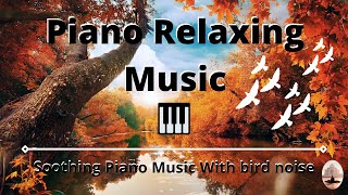 Piano Relaxing Music | Sounds Of Birds |  Therapy |  Reduce Anxiety