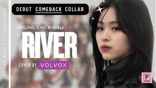 「 COMEBACK 」VOLVOX - RIVER (Original by AKB48)
