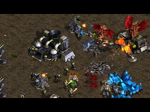 Laddernet 2025.12 Light vs Soma TvZ @ Polypoid | Starcraft Remastered