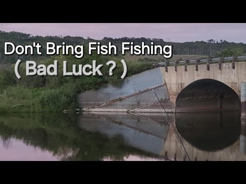 Don't Bring Fish Fishing (Bad Luck ?)