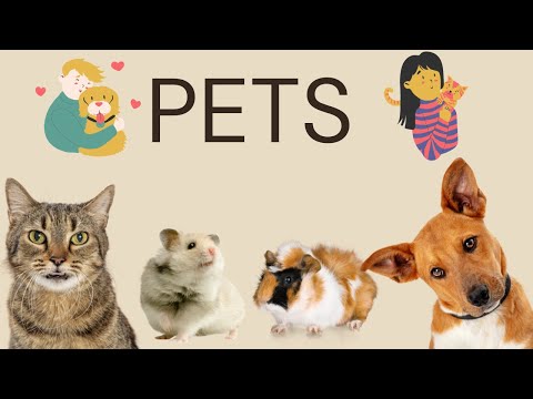 Learn Names of Pets for Kids - Pet Animal Names and Sounds for Children