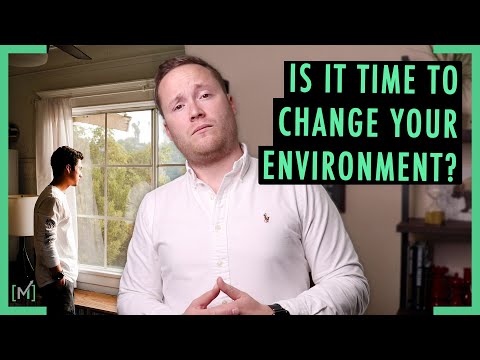 Why your environment matters?
