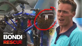 Bee Swarms | Best of Bondi Rescue
