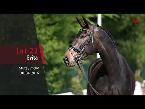 22 Evita Stute v. Ehrenstolz - Fidermark