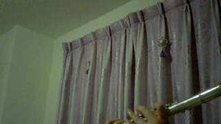 Mayonaka no Shadow Boy + School Kakumei (flute version)