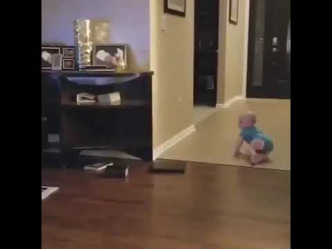 Little baby and pet dog funny video