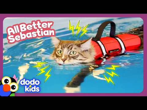 ⚡ ZAP! Can Electricity And Water Heal This Kitten’s Injured Leg? | Dodo Kids | All Better
