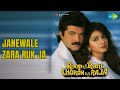 Janewale Zara Ruk Ja Roop Ki Rani Choron Ka Raja Kavita Krishnamurthy