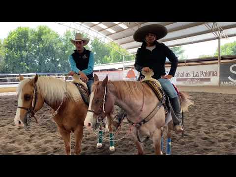 TUTRORIAL DE RIENDA CON PICHON RIOS Y ALEJANDRO GOÑI PARTE 1