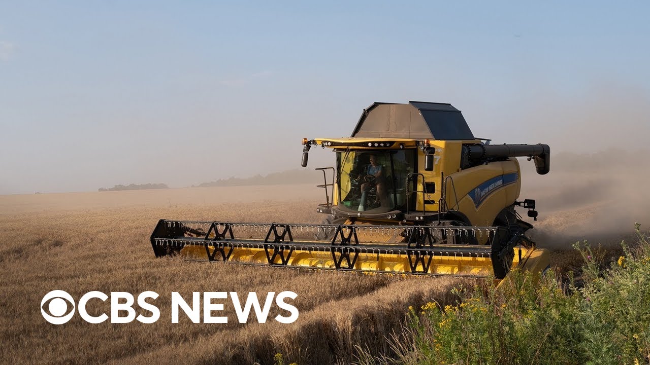 Russia Walks Away From the Black Sea Grain Deal as the Crimea Bridge Is Bombed