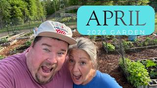 Garden Update What I Did in April to Get MAXIMUM Harvest