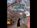 I Ve Already Told You Yozoh Myanmar Subtitle What Happens To My Family Ost