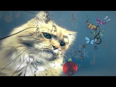 Musica de sanacion para Gatos enfermos |🐱| Musicoterapia para dormir y calmar a tu Gato enfermo 2023