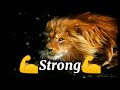 Best Motivational Whatsapp Status Ever Lion