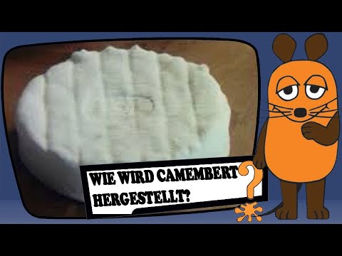Wie wird Camembert hergestellt?