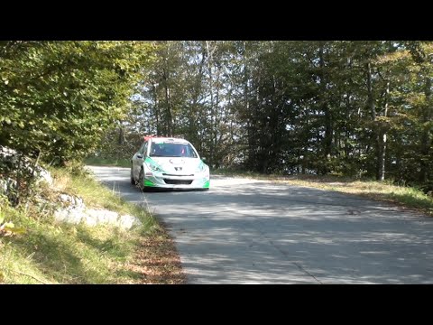 33° Rally Città di Bassano 2016 ps5 curva sx VIDEO SI