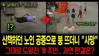 Download lagu [True Story from China] An old man floated into the air... 'What will be the verdict for the runa... mp3