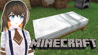 【Minecraft】生まれてはじめての一人マイクラ　その４