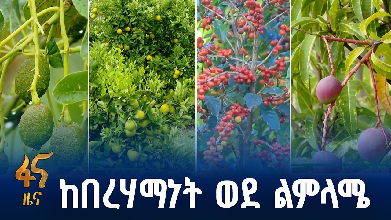 በአረንጓዴ አሻራ ትሩፋቶች አካባቢው ተቀይሯል