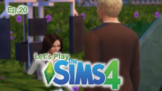 The Sims 4 Let