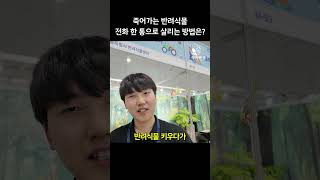 죽어가는 반려식물 전화 한 통으로 살리는 방법은?