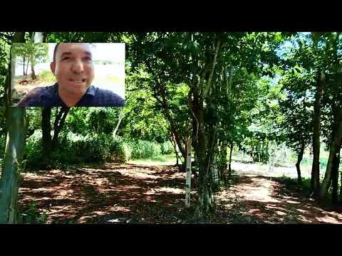 Fui visitar o Rio Paranapanema na cidade de porecatu , Paraná.